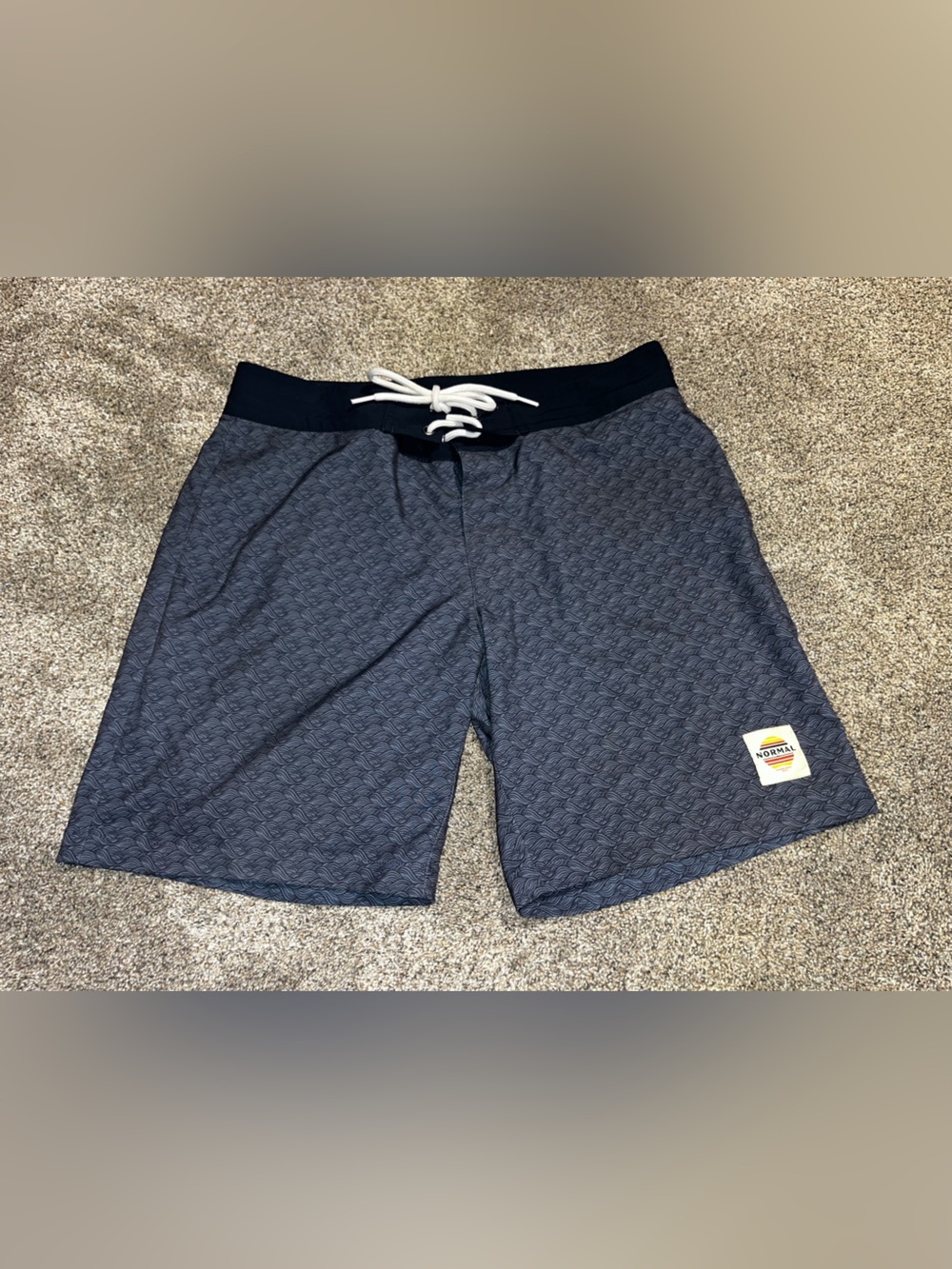 The normal brand swim trunks men’s 31